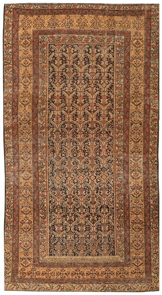 Malayer