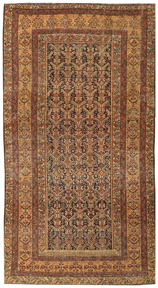 Malayer