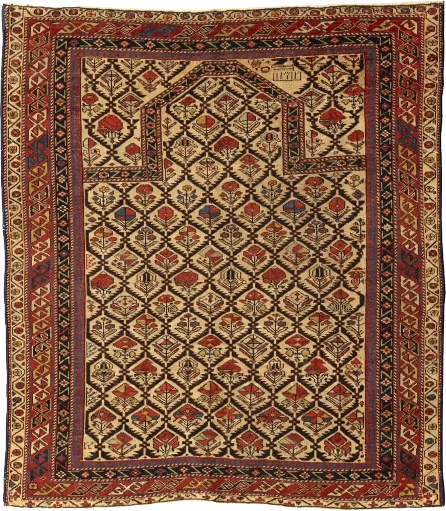 Tapete antigo Shirvan com campo minuciosamente preenchido